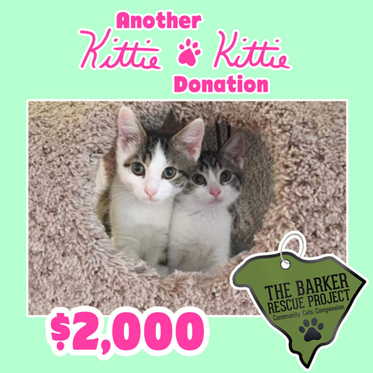 Kittie Kittie™ partners with The Barker Rescue Project!