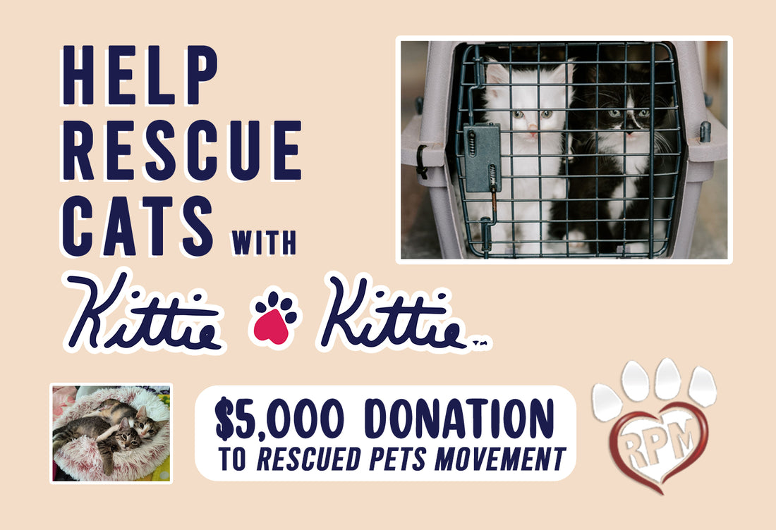 Kittie Kittie donates $5,000 to Rescued Pets Movement!