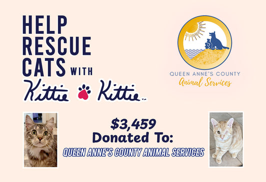 Kittie Kittie Donates $3,459 for Giving Tuesday!