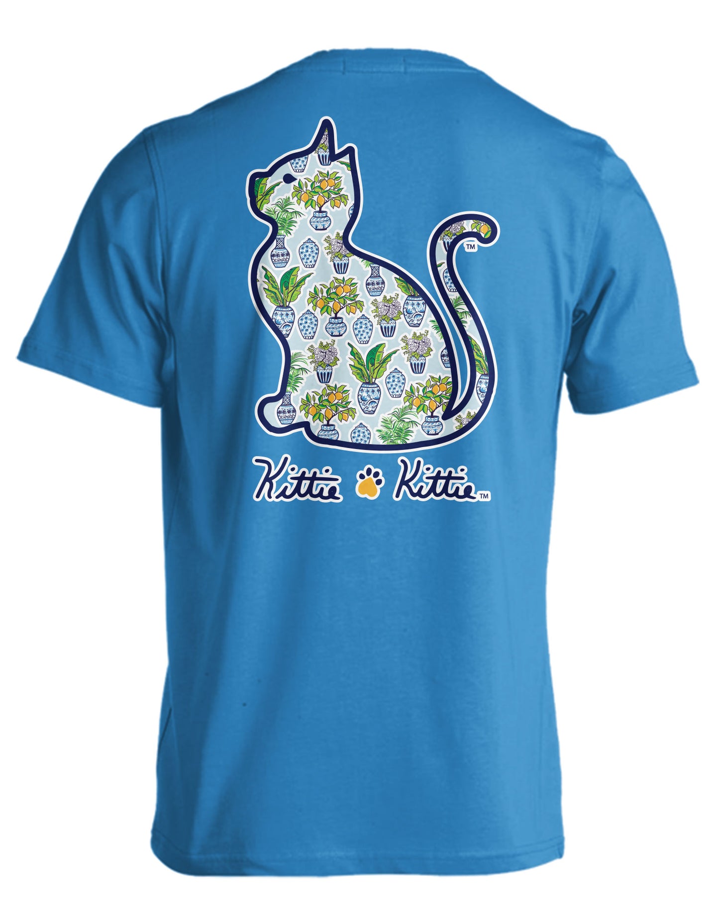 BLUE AND WHITE VASES KITTIE